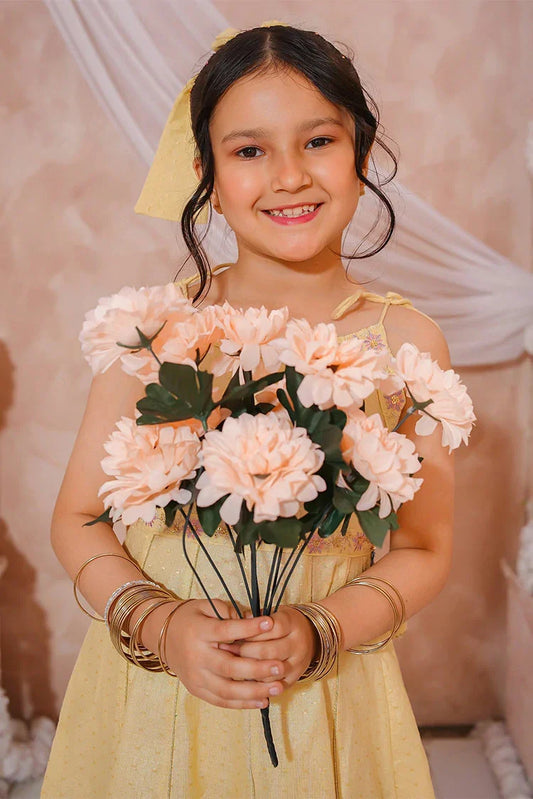 Modest - Girls Maysuri Embroidered Formal Frock - 3 Piece