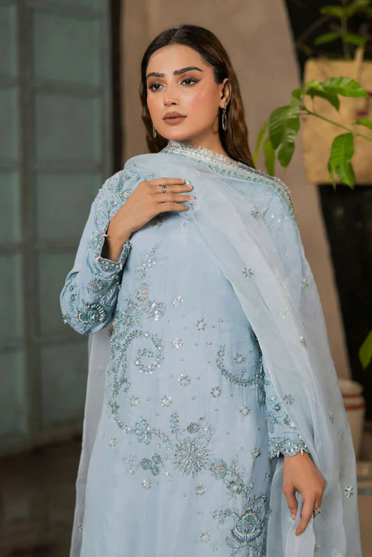 Ruby Suleiman - Luxury Raw Silk Chapter 1 - 3 PCS Ladies Suit - Pret