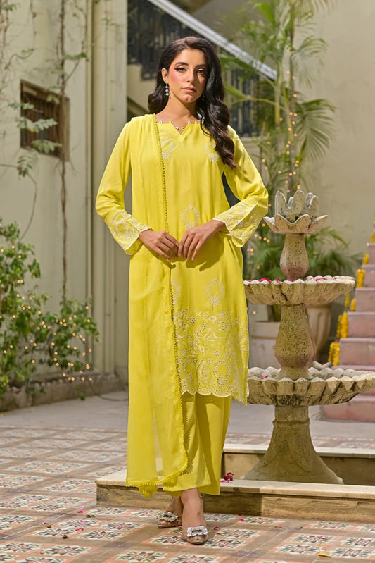 Silcot - Noor-E-Nazakat