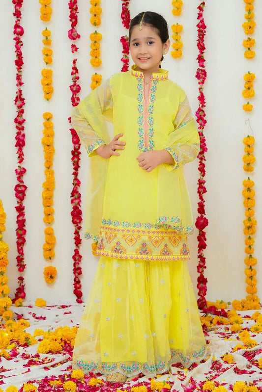 Picture of <!--cgd-->Modest - Festive Edit 1 - Hareem - Available at Raja Sahib