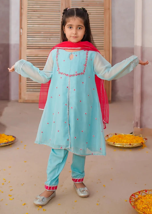 Modest - 3 Piece Chiffon Embroidered Suit