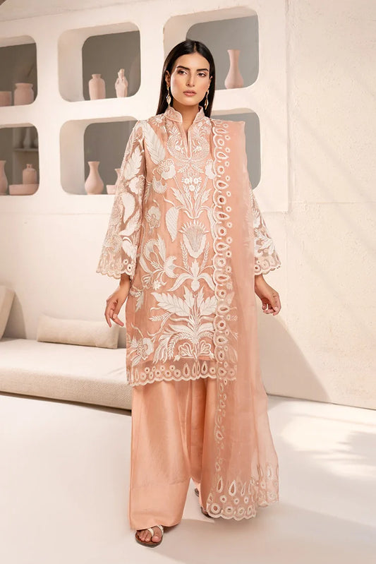 Anayra Amal - Irtiqa - Afsaneh