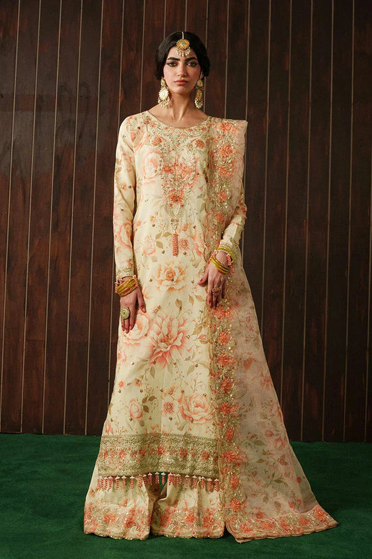 Amber Imran - Aangan Eid Festive - Naseha