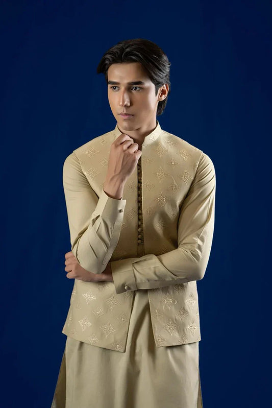 Picture of Ahmad Raza - Rang Vol 2 - AR5176 - Available at Raja Sahib