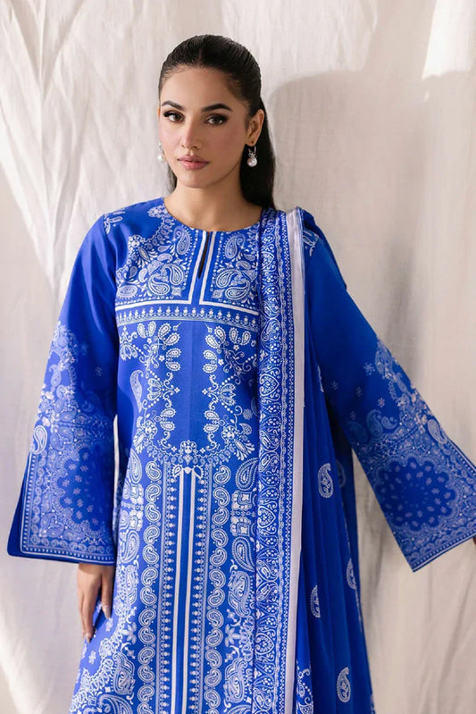 Picture of Rajbari - Amal Prints Drop 2 - Design 06 - Unstitched - Available at Raja Sahib