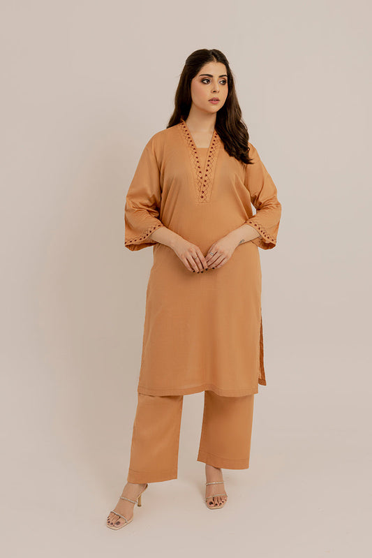 Picture of <!--acd-->The Slay Wear - Basic Stitched - Beige Embroidered Dress - Available at Raja Sahib