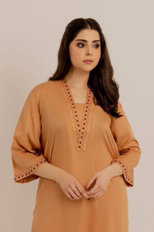 Picture of <!--acd-->The Slay Wear - Basic Stitched - Beige Embroidered Dress - Available at Raja Sahib