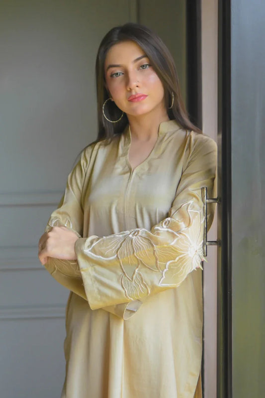 Zauk - Embroidered Luxe Pret - 2 Piece - Stardust