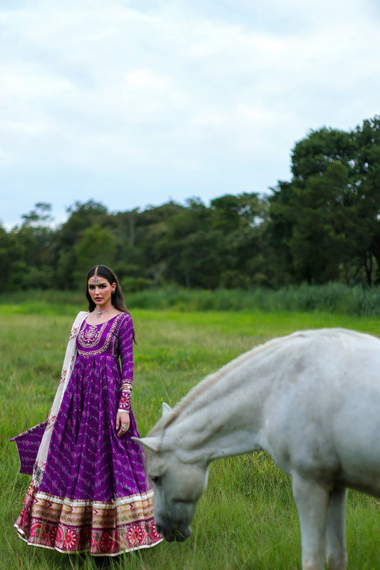 Picture of Saira Rizwan - Pishwas Collection - DILNAAR-05 - Available at Raja Sahib