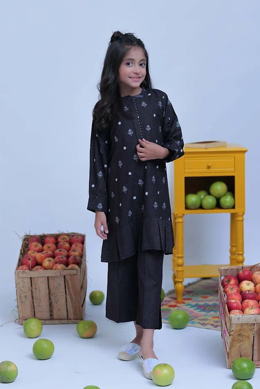 KAC-02778 | Mix Colour | Casual 2 Piece Suit | Karandi Fabric