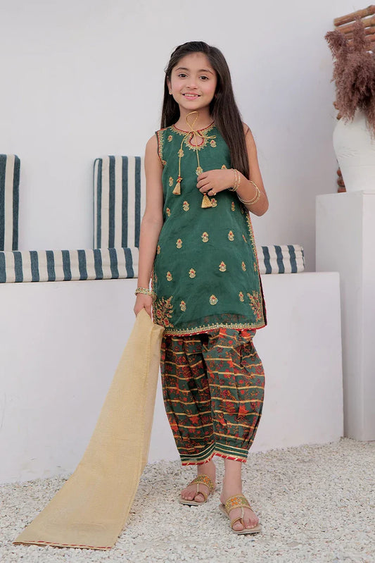 Kids formal clothes | Green & Multicolor | Formal 3 Piece Suit | Cotton Digital Print By Organza | KDD-02995