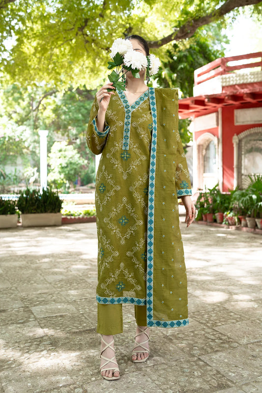 Tasneem Shamim - Hand Embellished Metallique Organza - Heena