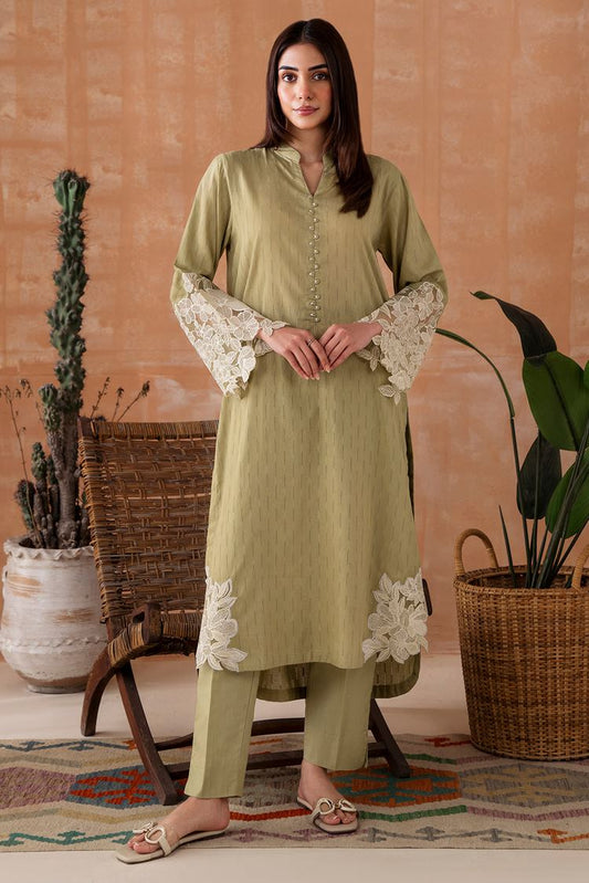 Embroidered Leno Kara Suit P1024 - 2 Piece