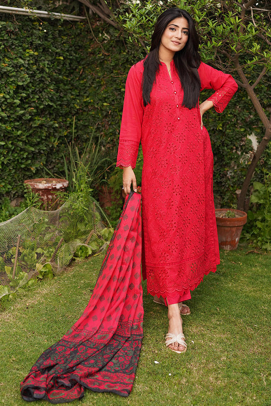 Embroidered Lawn Suit- P1070 - 2 Piece