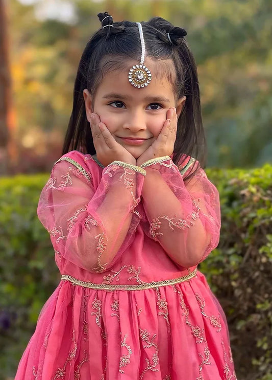 Modest - 3 Piece Net Embroidered Suit