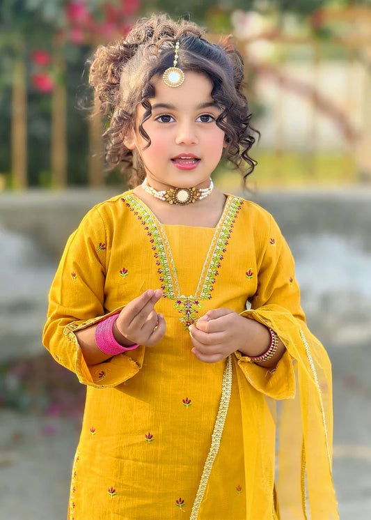 Modest - 3 Piece Embroidered Khaddar Dress