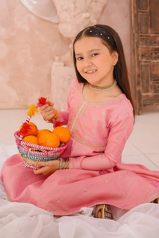 Modest - 3 Piece - Embroidered Cotton Lawn Suit