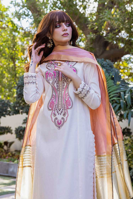 Asim Jofa AJPE 39 (2 PC) Festive Pret Collection