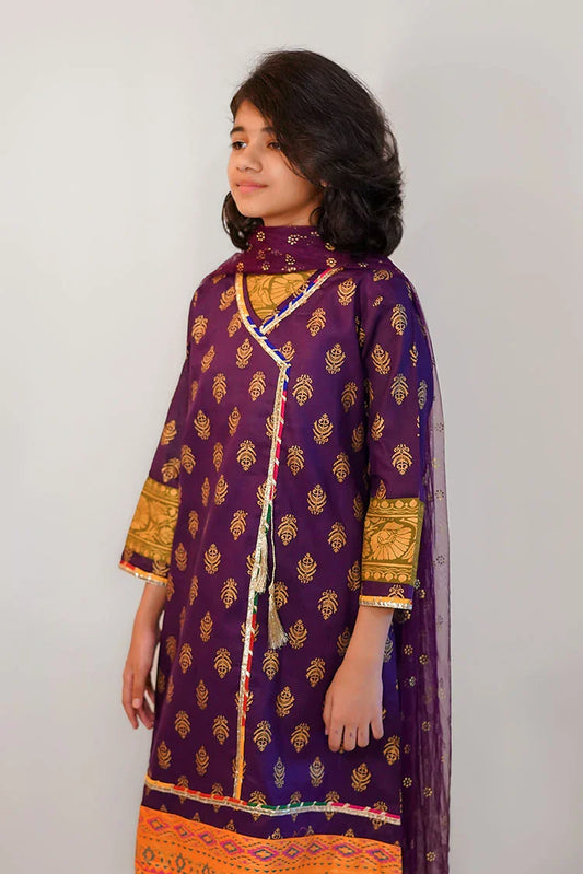 Abar - Spring Collection - 2 Piece - Purple Thappa
