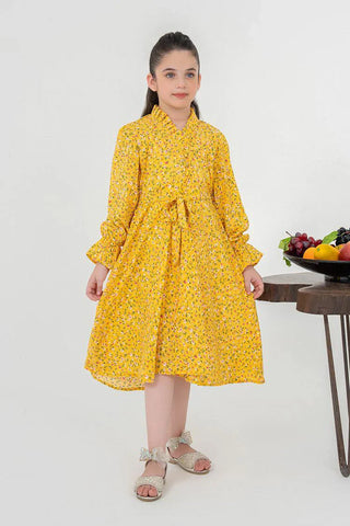 Picture of Western Georgette Dress - by Raja Sahib Kids