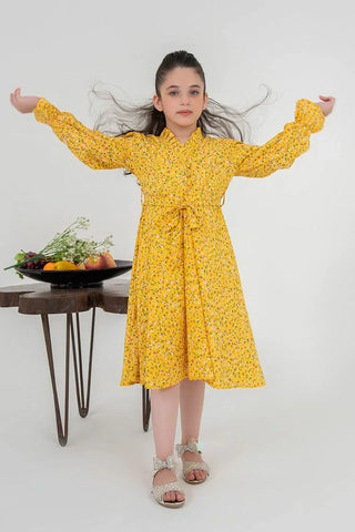 Picture of Western Georgette Dress - by Raja Sahib Kids