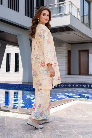 Ellena - 2-PC Stitched Printed Suit