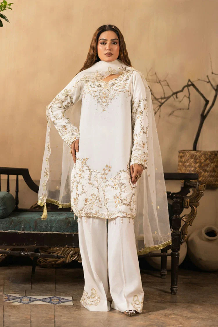 Ruby Suleiman - Luxury Raw Silk Chapter 1 - 3 PCS Ladies Suit - Pret