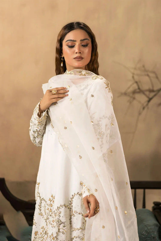 Ruby Suleiman - Luxury Raw Silk Chapter 1 - 3 PCS Ladies Suit - Pret