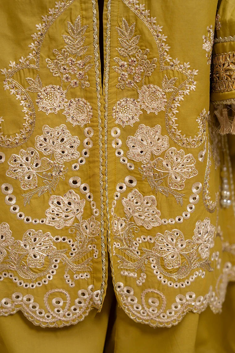 Picture of 3-PC Stitched Embroidered Suit - Available at Raja Sahib