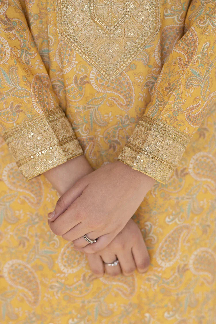 Picture of 3-PC Stitched Embroidered Suit - Available at Raja Sahib