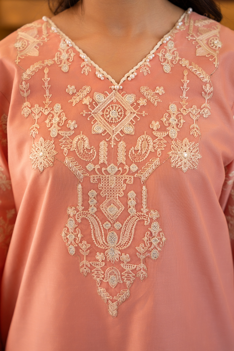 Picture of 3-PC Stitched Embroidered Suit - Available at Raja Sahib