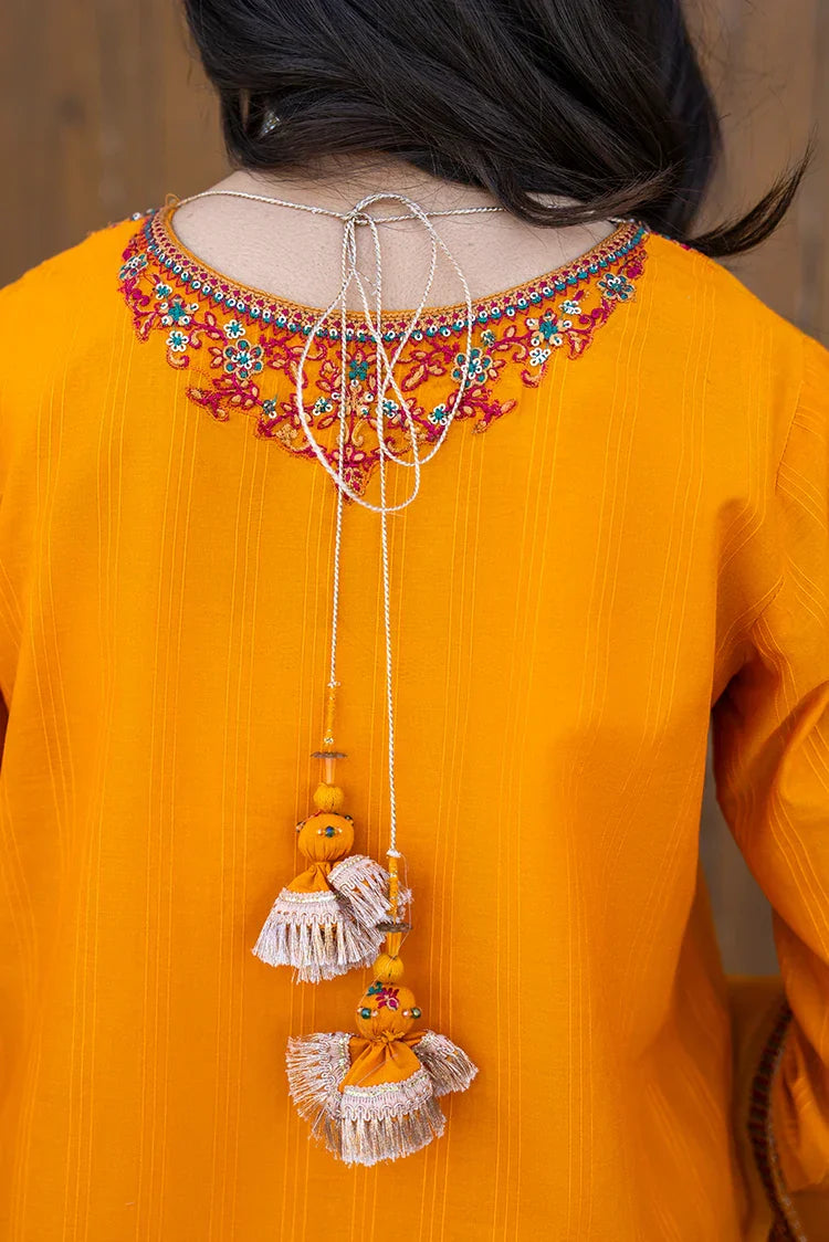 Picture of 3-PC Stitched Embroidered Suit - Available at Raja Sahib