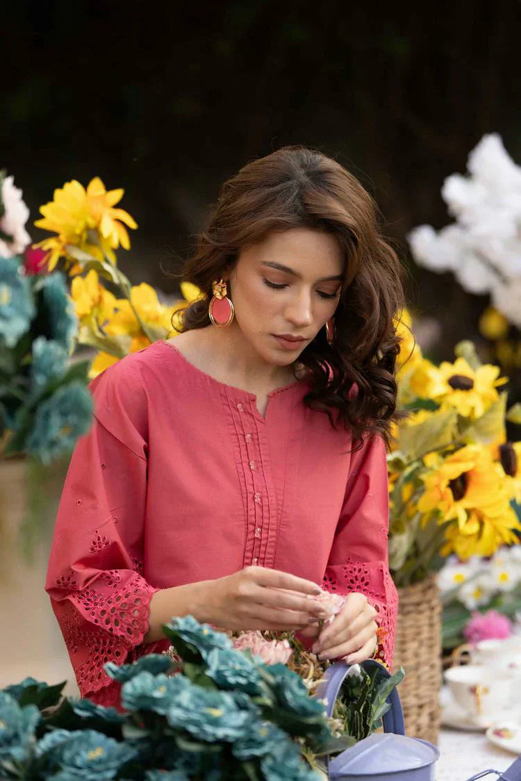 Picture of 2-PC Stitched Embroidered Suit - Available at Raja Sahib