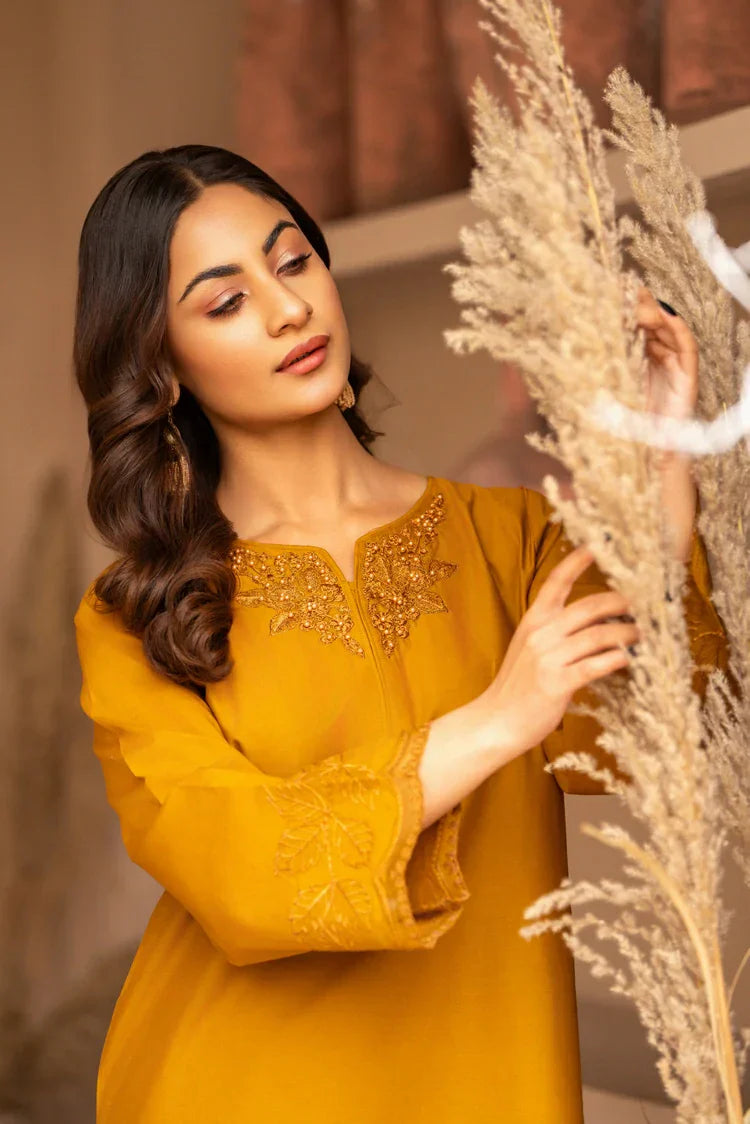 Picture of 2-PC Stitched Embroidered Suit - Available at Raja Sahib