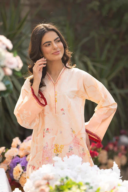 Picture of 2-PC Stitched Printed Suit - Available at Raja Sahib