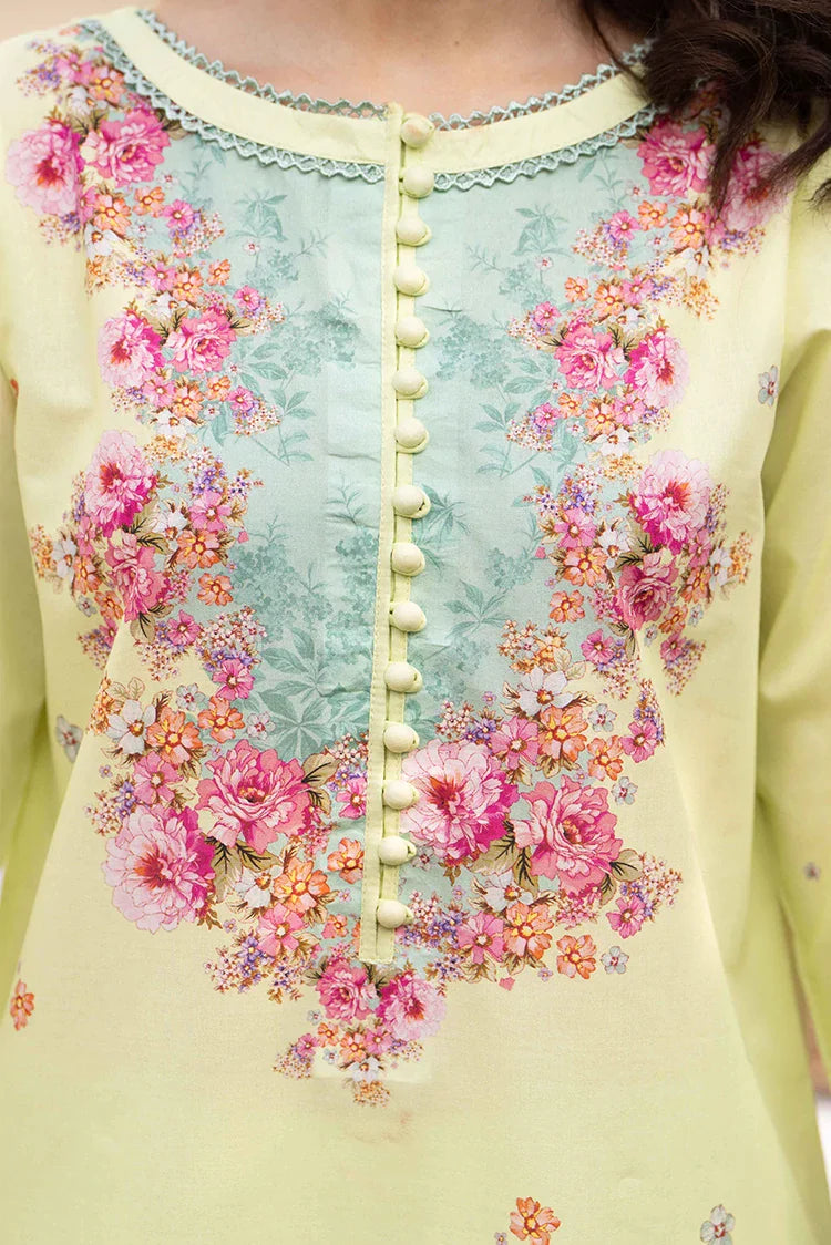 Picture of 2-PC Stitched Printed Suit - Available at Raja Sahib