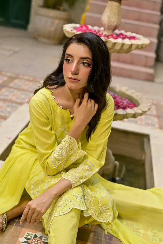 Silcot - Noor-E-Nazakat