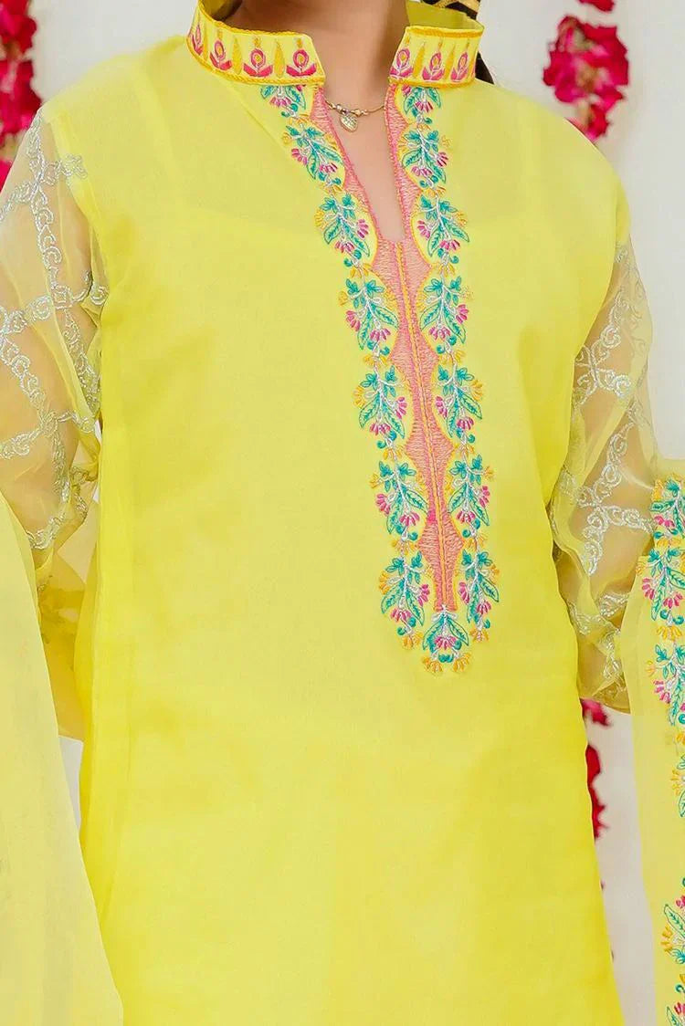 Picture of <!--cgd-->Modest - Festive Edit 1 - Hareem - Available at Raja Sahib