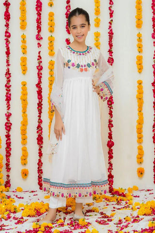 Picture of Modest - Festive Edit 1 - Chandni - Available at Raja Sahib