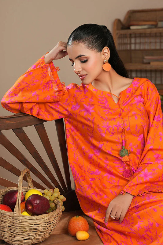 Ellena - 2-PC Stitched Printed Suit