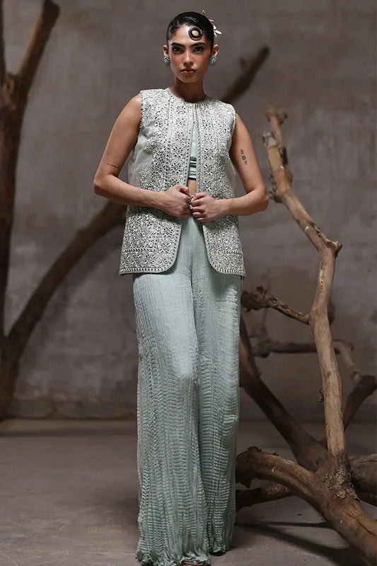 Threads & Motifs - Embroidered Jacket With Crushed Trouser - 9541