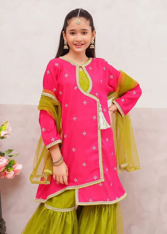 Modest - 3 Piece Rawsilk Pink Embroidered Gharara