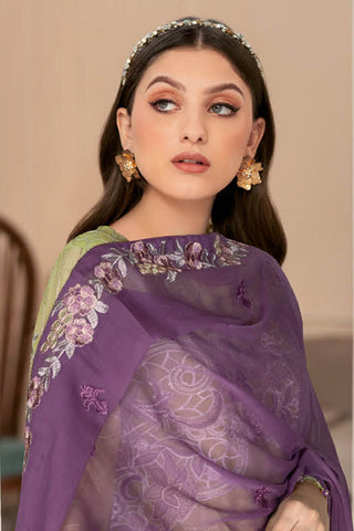 Picture of Ramsha - N 507 Nayab Weightless Chiffon Collection Vol 5 - Available at Raja Sahib