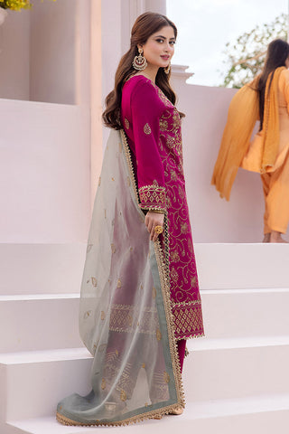 Asim Jofa - AJCF 12 Dhanak Rang Collection