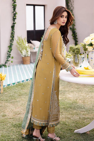 Asim Jofa - AJCF 16 Dhanak Rang Collection