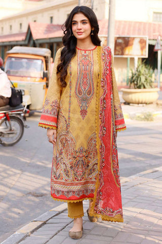 Picture of Asim Jofa - AJBB-08 Prints Collection Vol 3 - Available at Raja Sahib