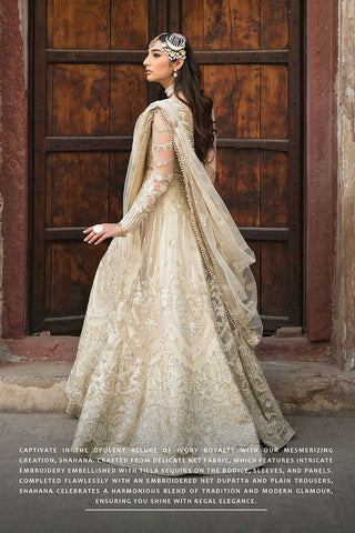 Ayzel - 10 SHAHANA Pehli Nazar Festive Chiffon Collection