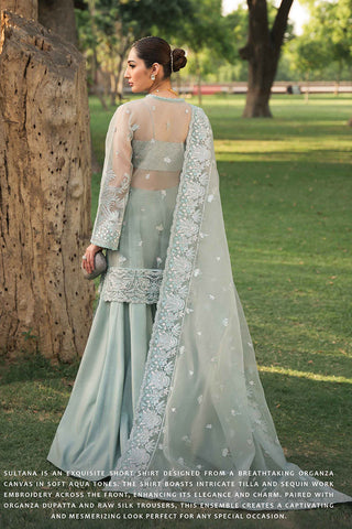 Ayzel - 04 SULTANA Pehli Nazar Festive Chiffon Collection