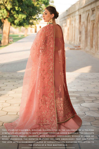 Ayzel - 06 RUKHSAR Pehli Nazar Festive Chiffon Collection