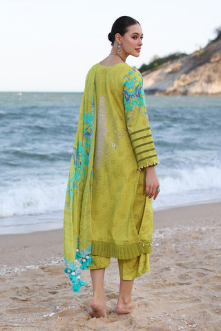 Charizma - CP4-48 C Prints Printed Lawn Collection Vol 6